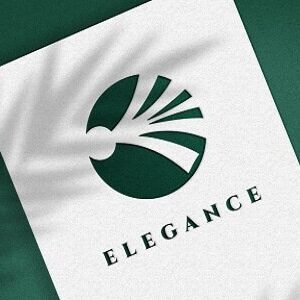 Logo Design & Branding